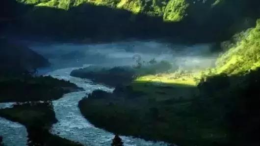 做烧茄子的时候，注意哪些，不然做出来的茄子又黑又没营养呢？