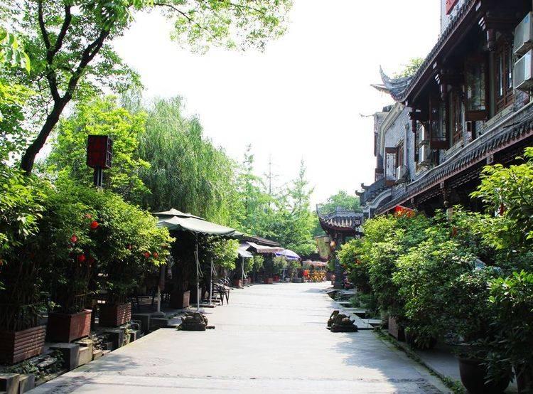 请问做肉丸要用什么配料怎样做才会有弹性?游戏画面
