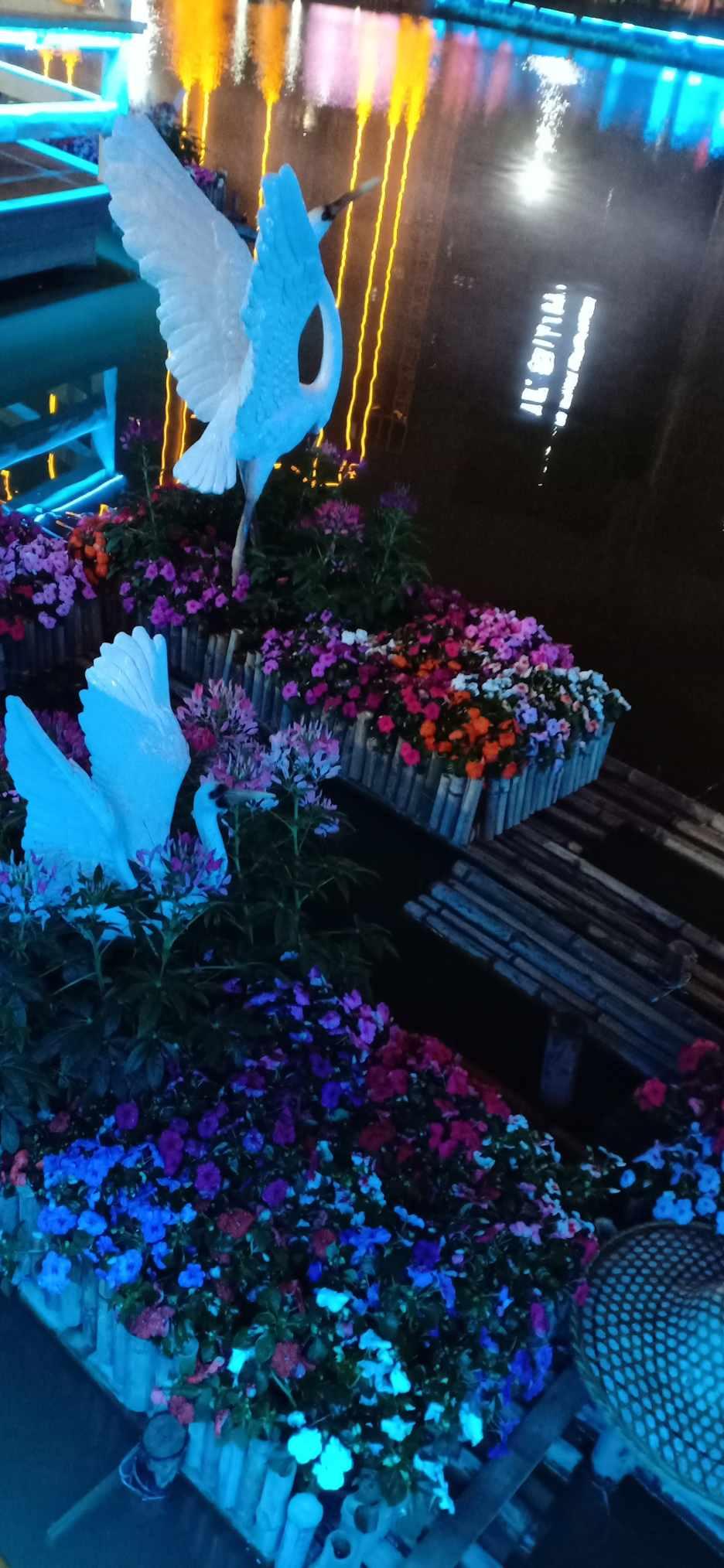 这样送花合适吗?-专业知识问答网—全面解答你的疑问